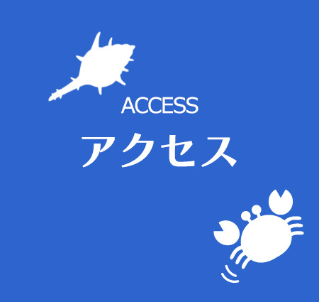 アクセス